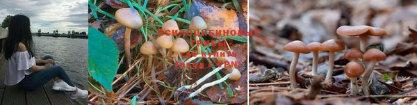 MDMA Premium VHQ Алзамай