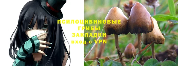 сатива Абаза