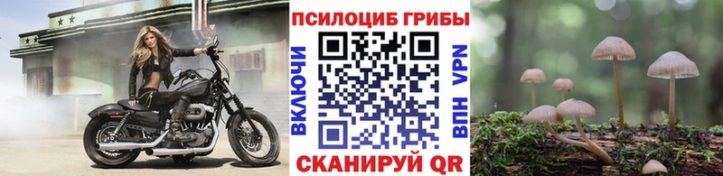 hydra ONION  Микунь  Псилоцибиновые грибы прущие грибы 